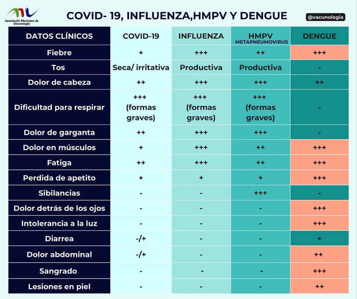 vacunologia's tweet photo. 🚨 ¡Dengue y enfermedades respiratorias pueden confundirse! No te arriesgues 🚨
En las últimas semanas, los casos de #Dengue e #Influenza han ido en aumento en el país 📈, según el último informe epidemiológico de la Secretaría de Salud.
📊 Datos clave sobre el #Dengue en México: https://t.co/w41QEUjsM7