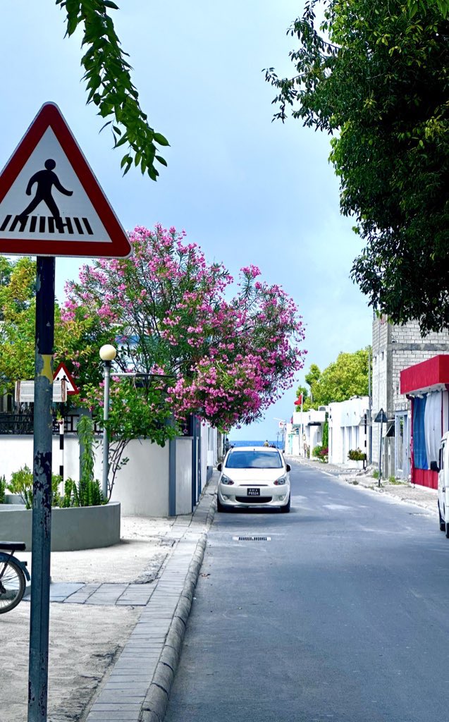 📍Feydhoo, Addu City

The desired level of urbanisation is a spectrum of value judgements. Not everything can fit into a formula.

The importance of dialogue cannot therefore be overstated.
