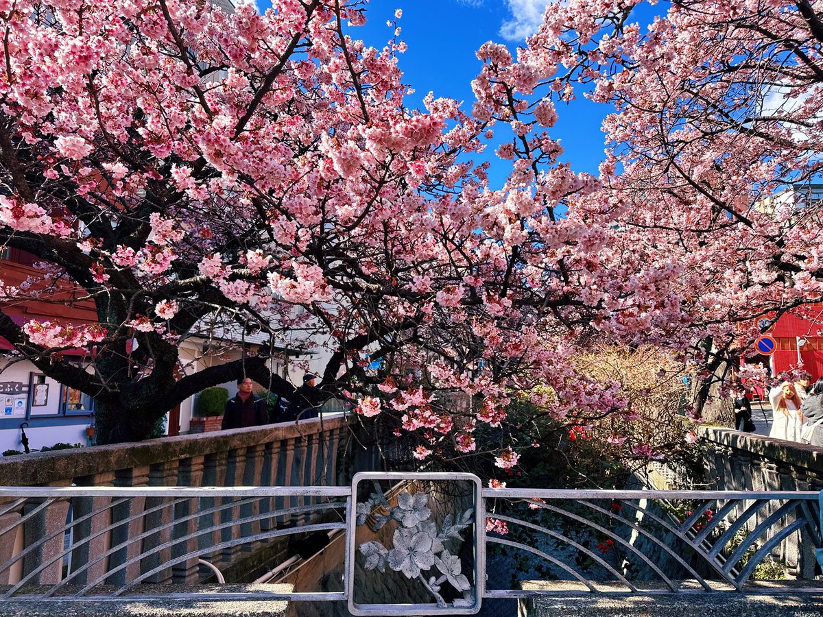 ferdalangurinn tweet media