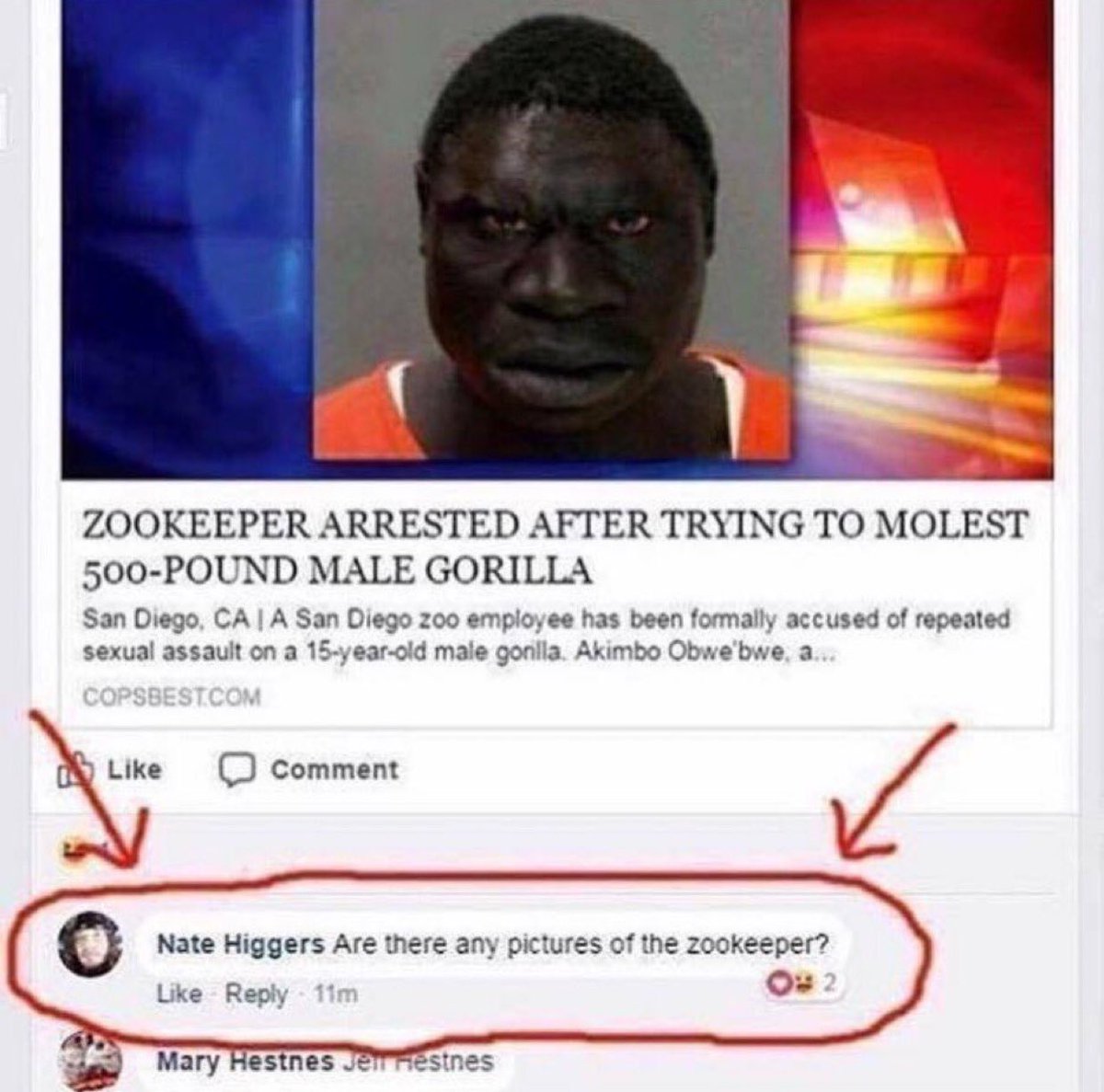 GarbageHuman24's tweet image. 