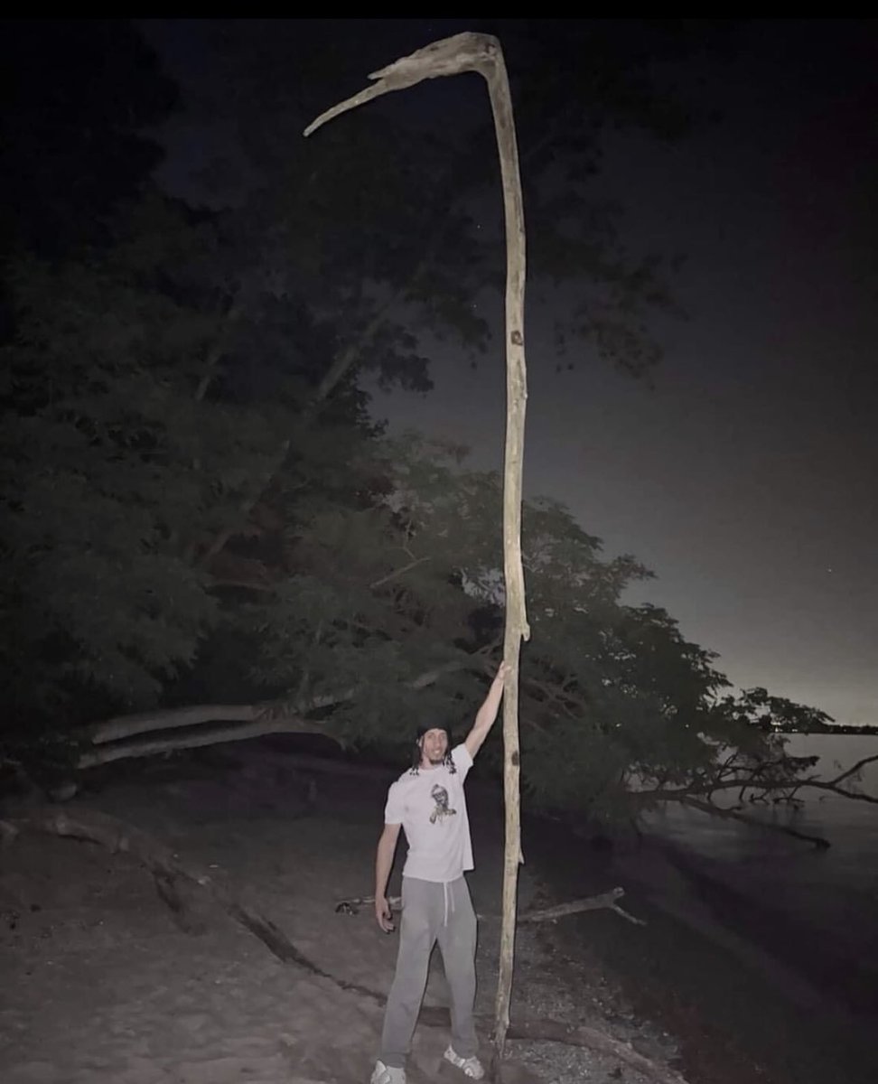 insaneposes's tweet image. 