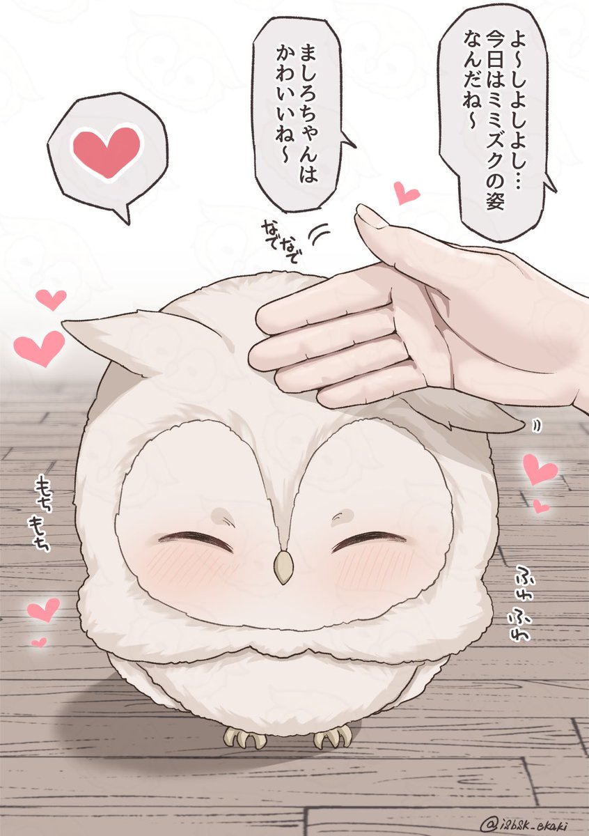 たくさんなでなでして欲しいミミズクちゃん🦉✨️ 