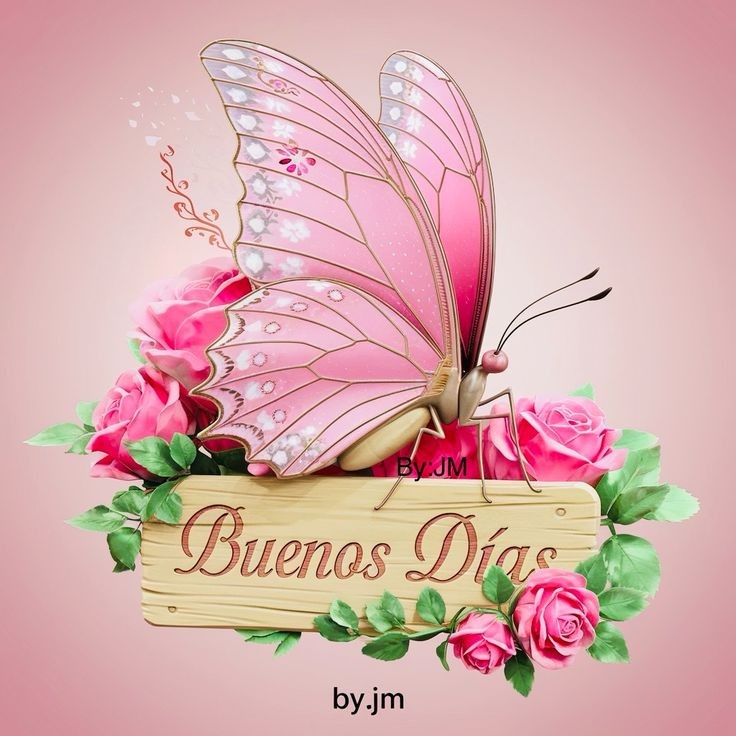 Muy feliz martes amigos 🤗 ❤️