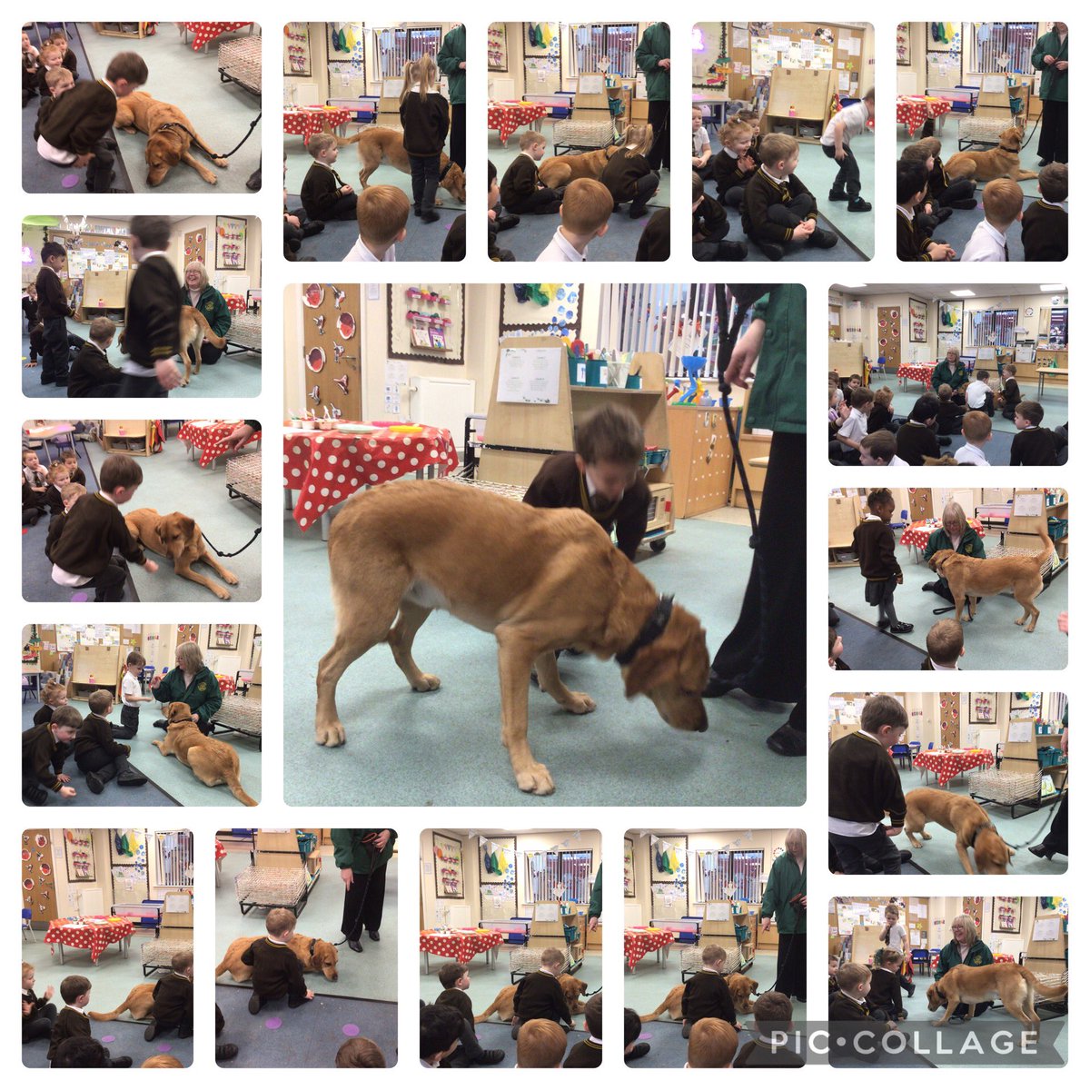 We won the attendance last week so had a little treat with Barney &amp; <a href="/mrs_smilligan/">Mrs S Milligan</a> 🐾🦴