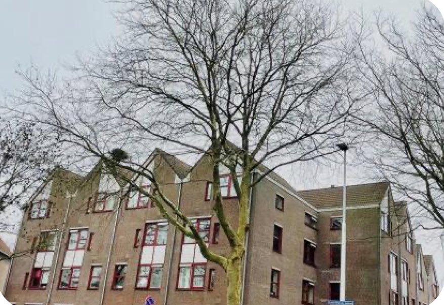 Aanmelding voorrangsregeling beroepsgroepen 2025 voor zorg en onderwijs gaat 17 februari van start amstelveen.nl/aanmelding-voo…