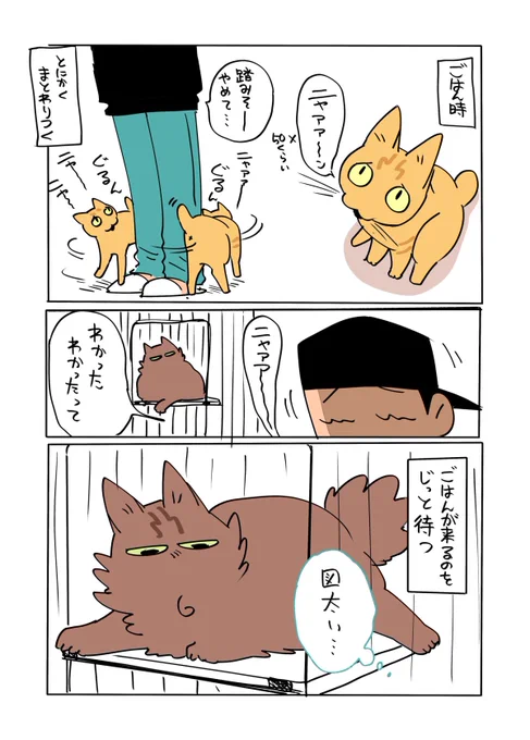 ルーティン

#猫のあんとぽん
#らくがき 