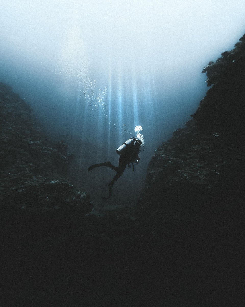 UNDecadeOceanIE's tweet photo. 🔬Marine research is critical for the future of our oceans and the survival of marine ecosystem.

By researching, we can understand the challenges faced by our oceans and develop solutions.

Learn more here: https://t.co/wXlOQxSHVn

#UNDecadeOceanIRL #UNDecadeOcean https://t.co/jqJRZmYK4G