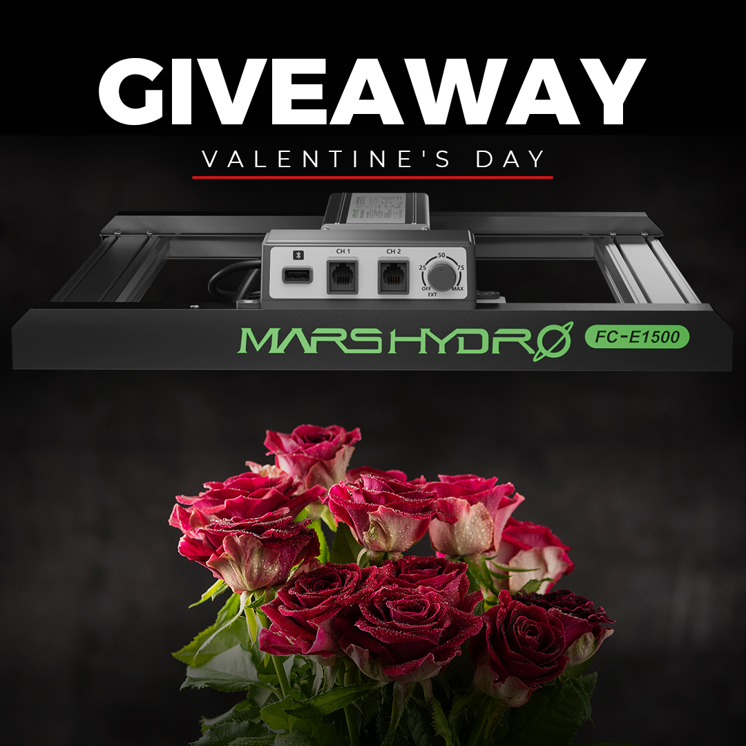 Marshydro lighting (@marshydrolight) on Twitter photo ๐ VALENTINE'S GIVEAWAY ๐
Love is in the air, and so are rewards! Win a brand-new FC-E1500!
Rules๏ผ
1๏ธโฃFollow <a href="/MarsHydroLight/">Marshydro lighting</a>
2๏ธโฃLike & RT
3๏ธโฃTag someone who needs some love or share your best love story!๐
๐Ends Feb. 16
View a prizeโก๏ธmars-hydro.com
#marshydro ๐ VALENTINE'S GIVEAWAY ๐
Love is in the air, and so are rewards! Win a brand-new FC-E1500!
Rules๏ผ
1๏ธโฃFollow <a href="/MarsHydroLight/">Marshydro lighting</a>
2๏ธโฃLike & RT
3๏ธโฃTag someone who needs some love or share your best love story!๐
๐Ends Feb. 16
View a prizeโก๏ธmars-hydro.com
#marshydro