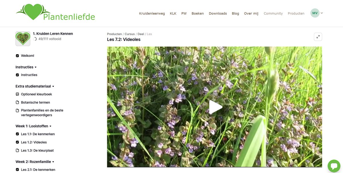 Jaren geleden leerde ik bij Open Circles over het opzetten van een online business met WordPress.
Maar WordPress was gedoe … én gehackt. Nu gebruik ik Podia: alles-in-één voor je online business. I love it!
Zie: podia.com/?via=5757c0
#passiefinkomen