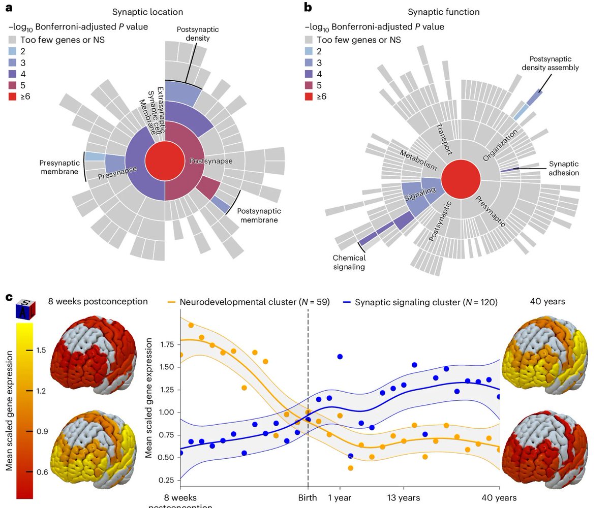 Marijn Schipper tweet media