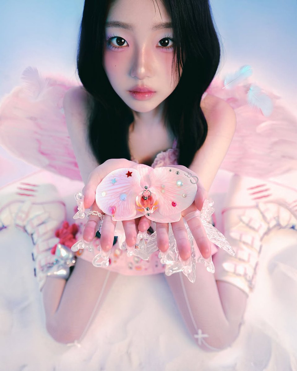 🌙 Orrery tweet media