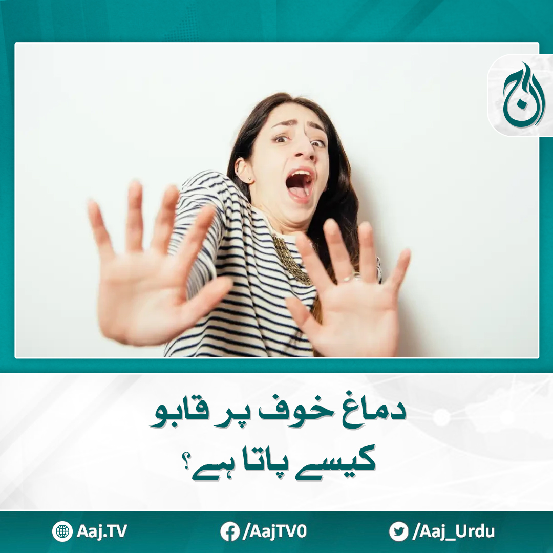 Aaj_Urdu's tweet photo. یہ سٹڈی بتاتی ہے کہ اگر دماغ خوف پر قابو پانے کا عمل صحیح طریقے سے انجام نہ دے تو فوبیا اور دیگر ذہنی عوارض پیدا ہو سکتے ہیں

مزید پڑھیے: https://t.co/hbhqJkY6NS

#AajNews #BrainControl #FearManagement #StudyInsights https://t.co/W9ipIHZiN6