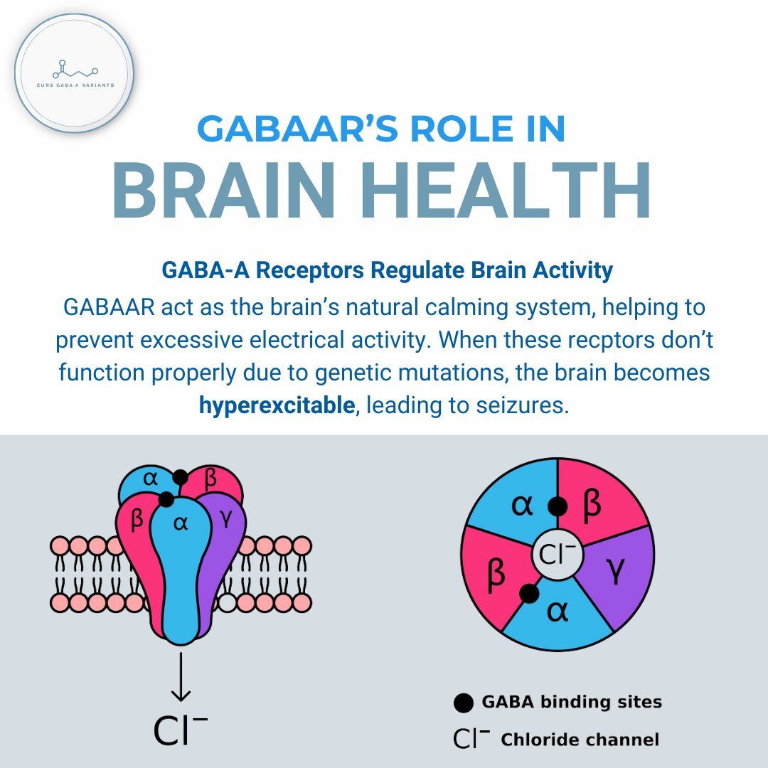 Cure GABA A Variants tweet media