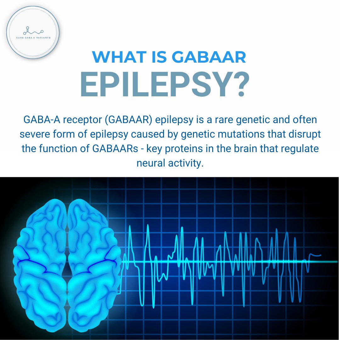 Cure GABA A Variants tweet media