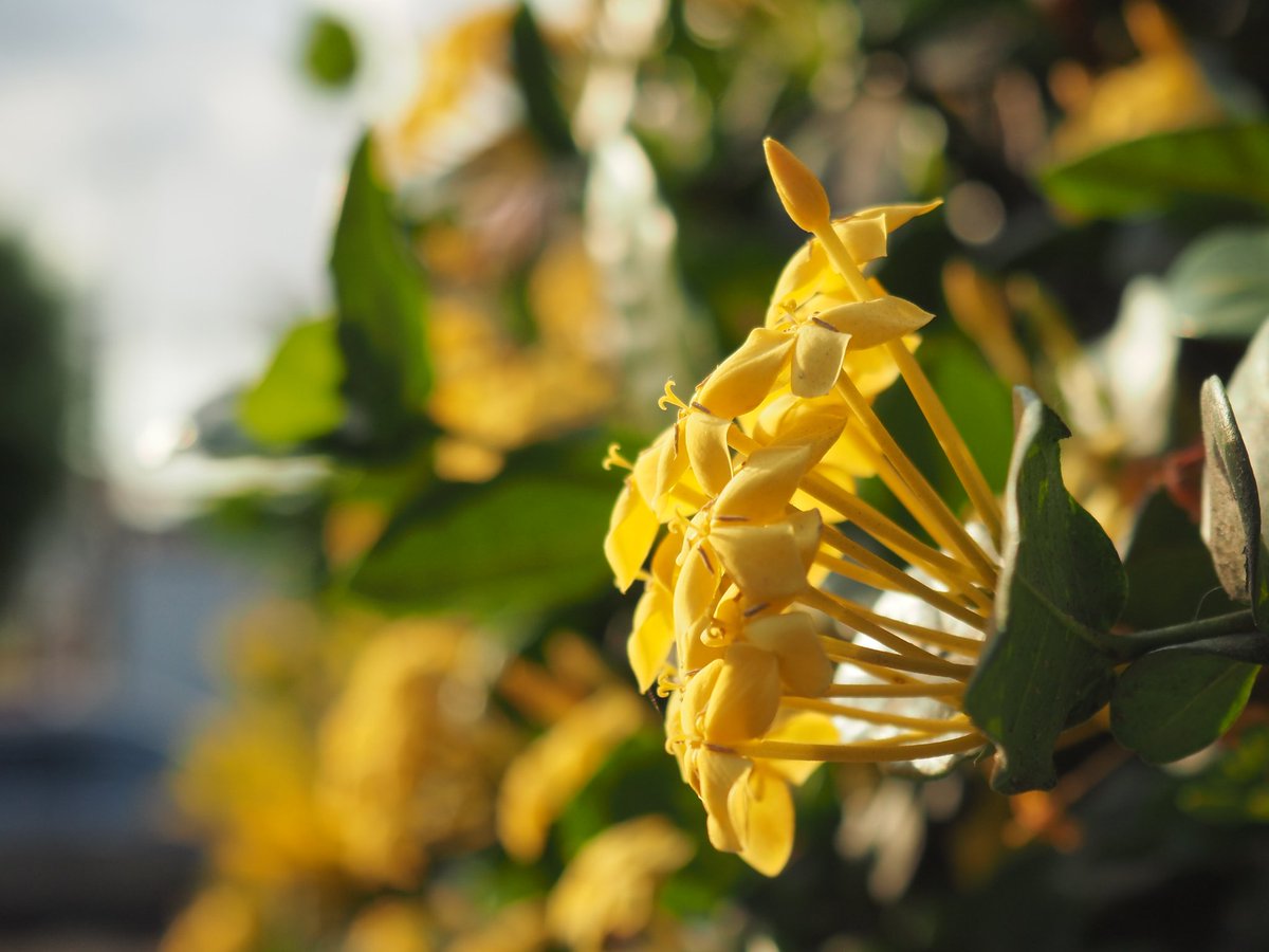 Stryyyyyyyyyyyy's tweet image. 