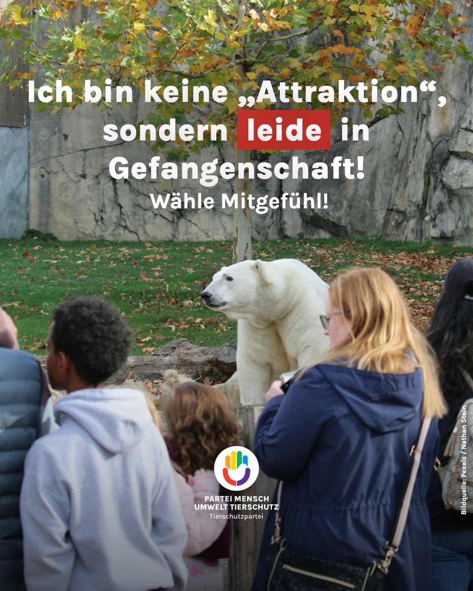 Ich bin keine "Attraktion", sondern leide in Gefangenschaft! Schau in unser Wahlprogramm auf unserer Webseite und wähle Mitgefühl! 📷