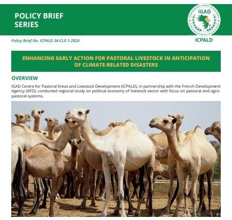 IGAD_CPALD's tweet photo. Due to climate change, the climatic situation in the Greater Horn of Africa (GHoA) is now vulnerable to the negative effects of climate change.
Extreme events like drought & floods are frequent & devastating in the GHoA, particularly in Arid & Semi-Arid Areas (#ASALs) which are dominated by pastoral and agro-pastoral #livestock production systems.
What can be done to mitigate this negative trend?
➡️Proactive & timely interventions in anticipation of drought disaster.
➡️Anticipatory actions undertaken through early warning systems.
➡️Prioritizing the integration of multisectoral & multi-hazard disaster risk reduction strategies.
➡️Institutionalizing anticipatory action in disaster risk management & #humanitarian sectors.
Click👇🏾for full brief:
https://t.co/llIixelDik