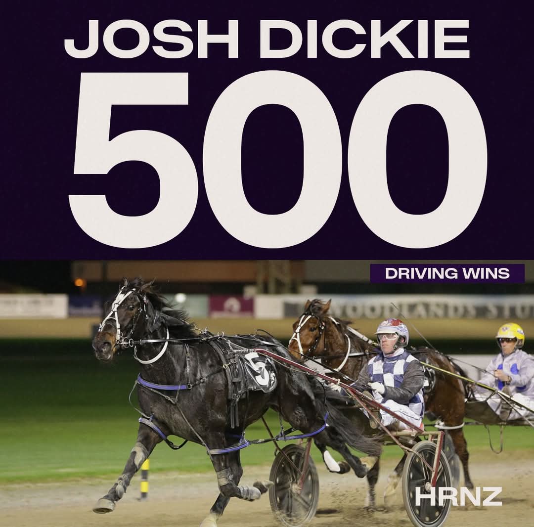 Harness Racing NZ tweet media