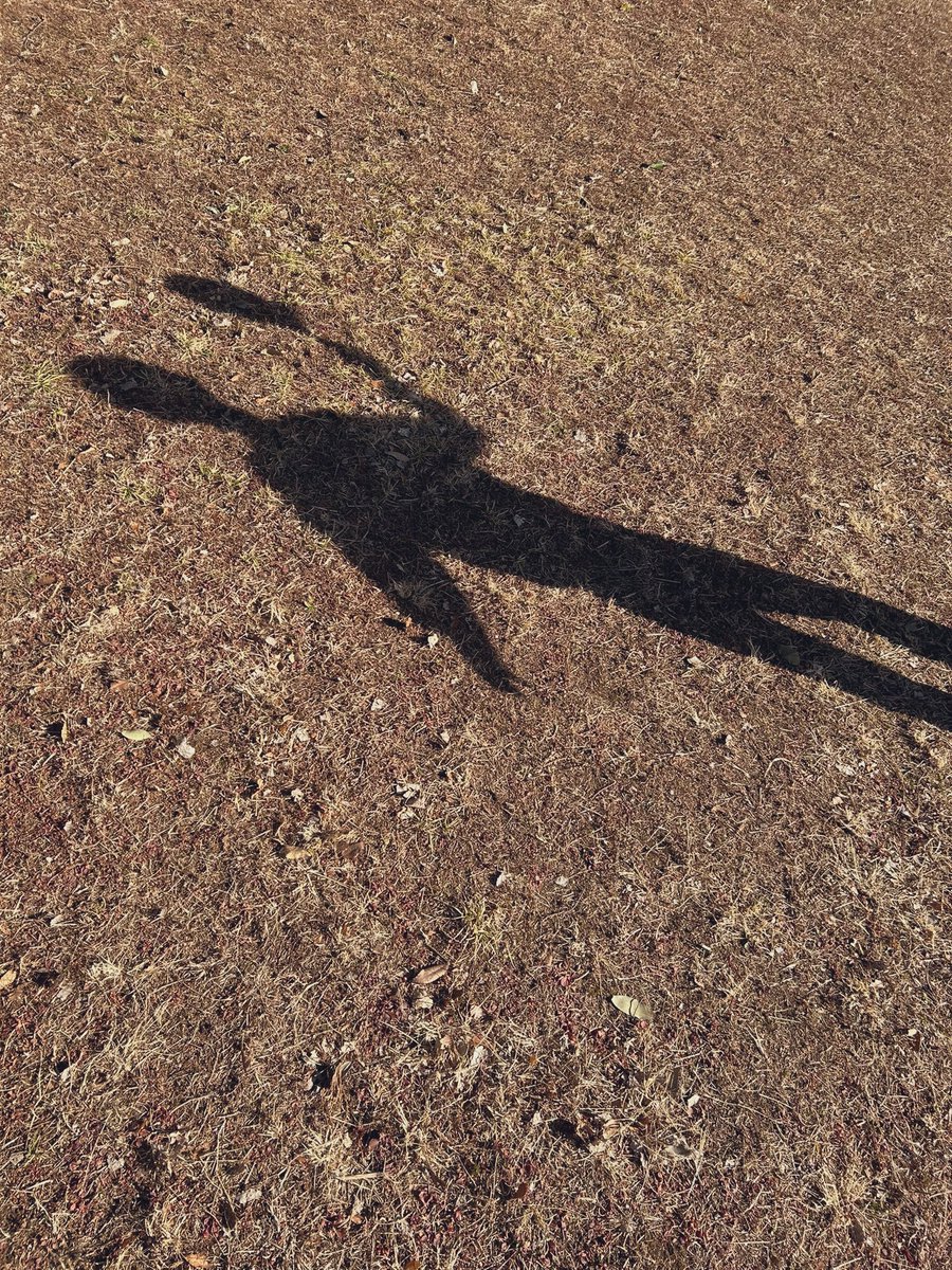 天気がいい日☀️
息子と公園へ…