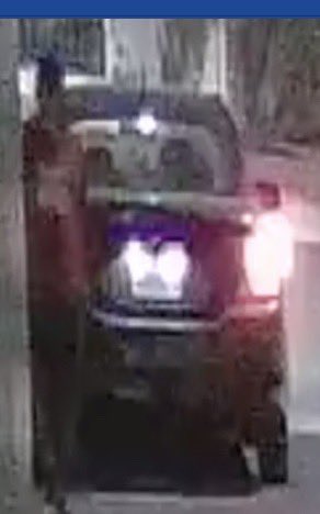 CtryEagle tweet media