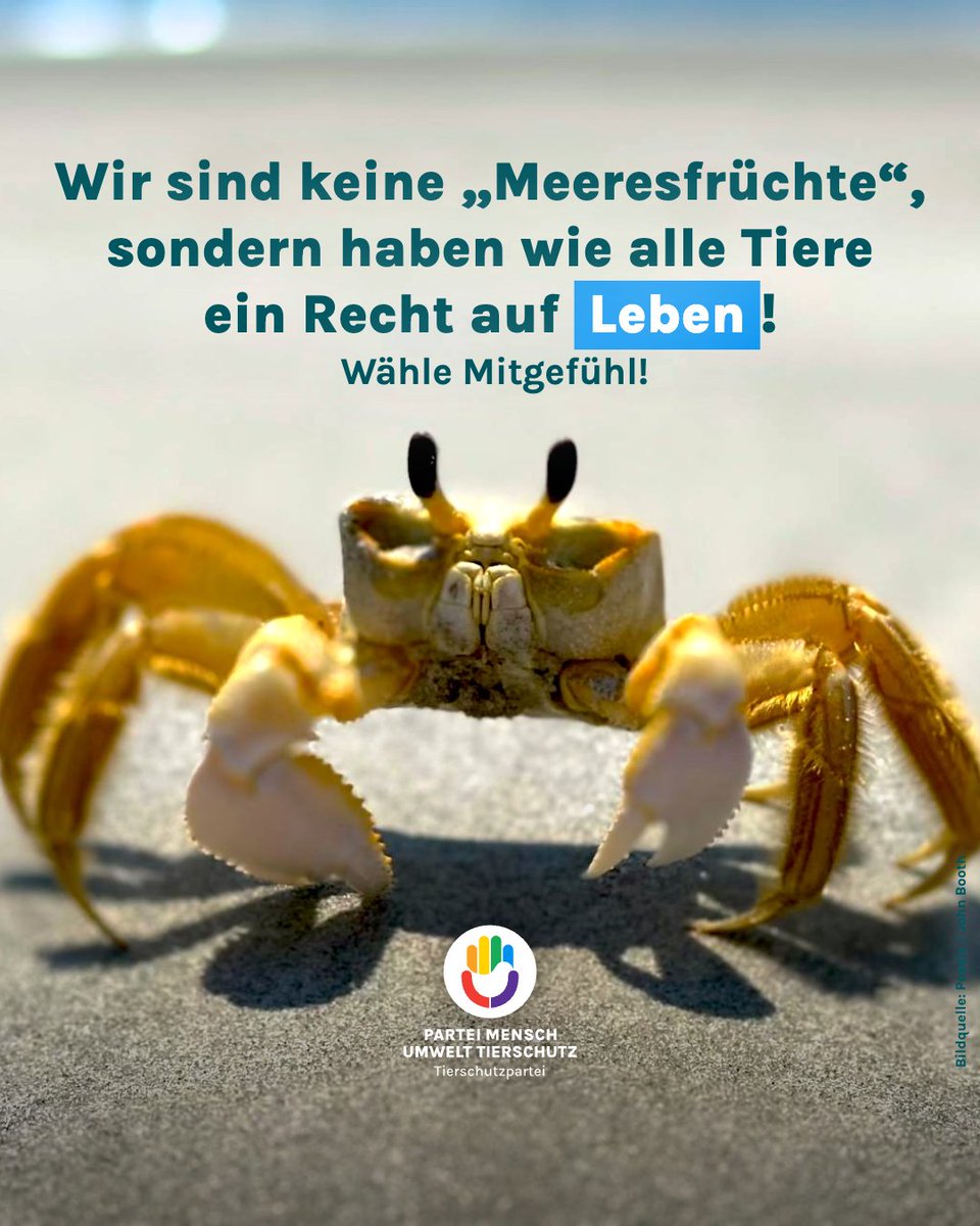 Wir sind keine "Meeresfrüchte", sondern haben wie alle Tiere ein Recht auf Leben!

Schau in unser Wahlprogramm auf unserer Webseite und wähle Mitgefühl! 💚