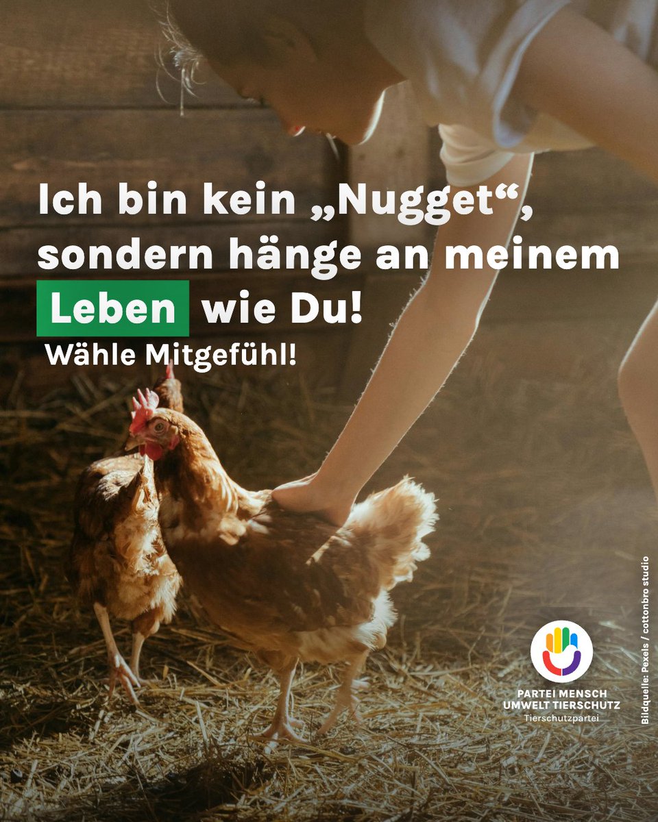 Ich bin kein "Nugget", sondern hänge an meinem Leben wie Du!

Schau in unser Wahlprogramm auf unserer Webseite und wähle Mitgefühl! 💚