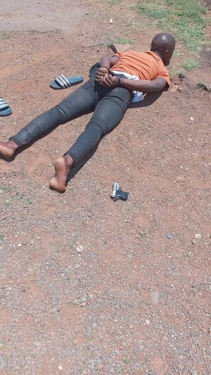 TshenoloPi's tweet photo. 3 men have been arrested after giving innocent livestock a lift
#notbyus https://t.co/eSfjJ1LENR