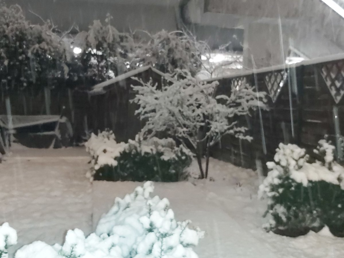 NoodweerBenelux tweet media