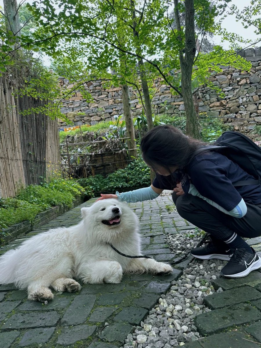 Janrinlay's tweet image. 風は自由だね✨私たちもそうでありたいな
未来に思いを馳せて、いつか私もきっと
世界中のあちこちを走り抜けたいな🌏💙