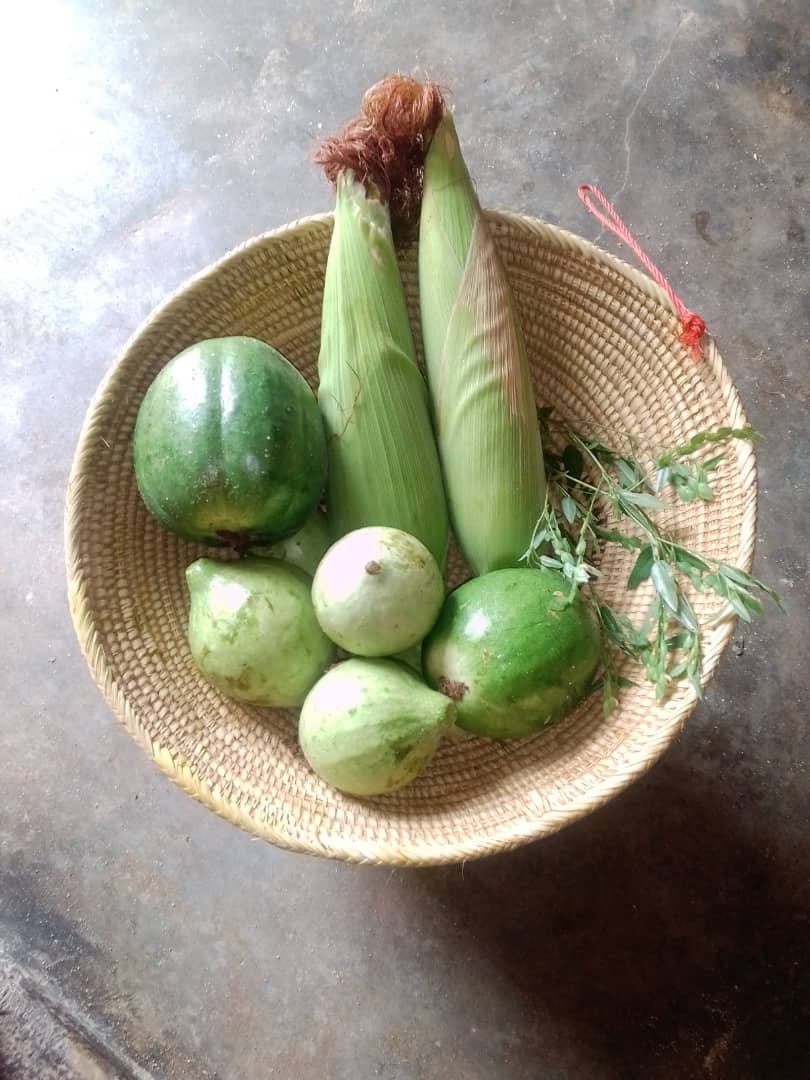 Iamnodaysoff®™🇺🇸 🇧🇼🇿🇦🐦 (@brian_elephant) on Twitter photo 