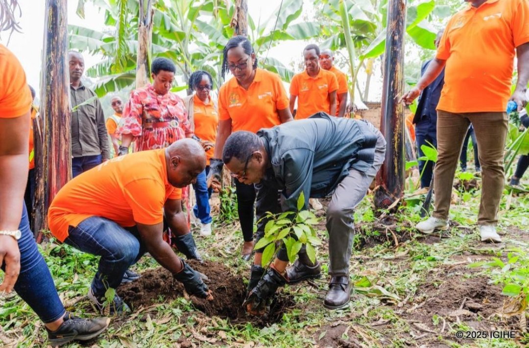 UwaseYves3's tweet photo. Sustainability comes from partnerships. As we embark this NST2 agriculture transformation is the main goal this creates not only the life Hope but also a strong and motivated nation 💪 thank you @PaulKagame @WorldVision @RwandaLocalGov @RwandaAgri https://t.co/Y8TyYsf6YO