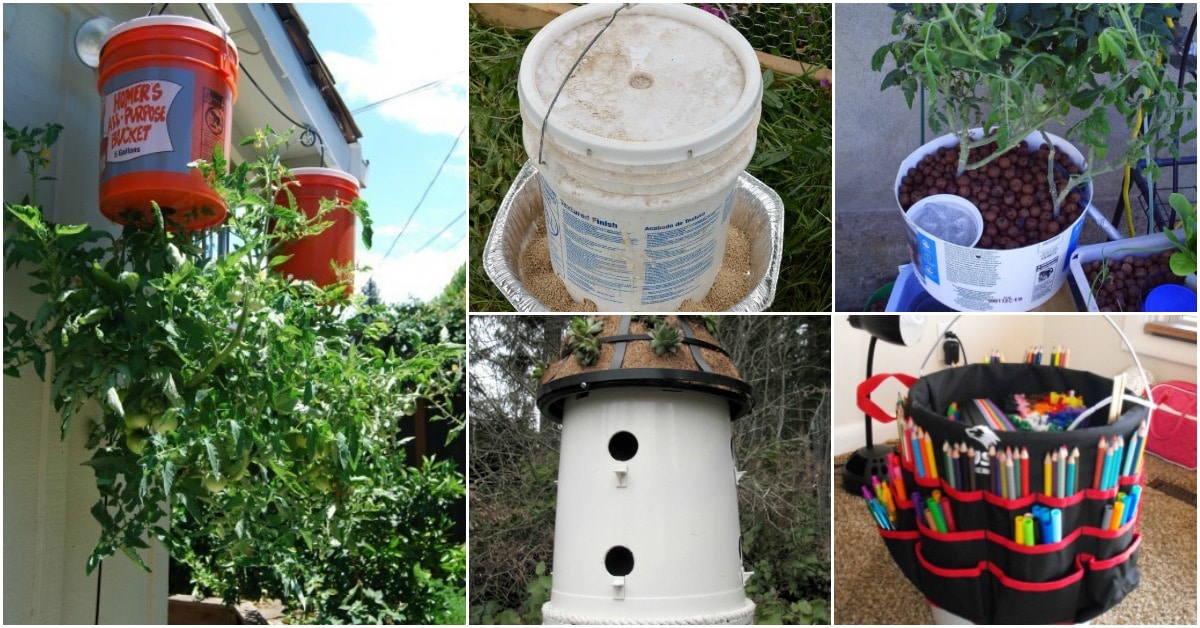 Scott_Schulte's tweet photo. Got buckets? Turn them into something amazing for your home and garden!

Here are 20 inspiring ideas to repurpose your five-gallon buckets. 💪

#Upcycle #Upcycling
 https://t.co/CofXvRj2kh https://t.co/kl7l65Uehz