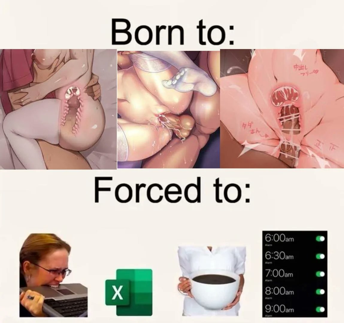 Melonpan🔞スイスの変態紳士🇨🇭 (@meidocafer) on Twitter photo 