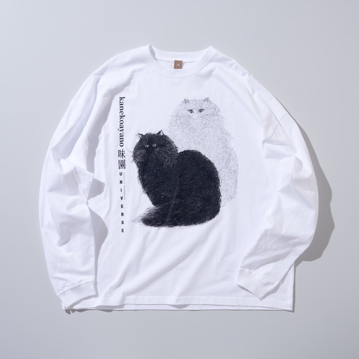 カネコアヤノ　味園ユニバースワンマンショー ロングTシャツ　Mサイズ （実質L） カネコアヤノさんのバンド