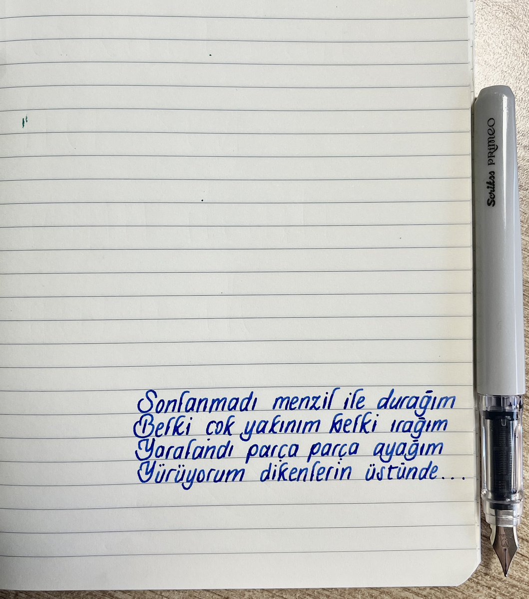 Karanlık bir gece
Yol görünmüyor