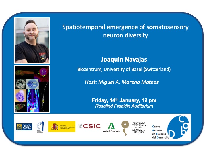 Centro Andaluz de Biología del Desarrollo (@cabd_upo_csic) on Twitter photo #CABDseminars "Spatiotemporal emergence of somatosensory neuron diversity" by Joaquin Navajas <a href="/MadS100tist/">MadScientist</a> from <a href="/biozentrum/">Biozentrum, University of Basel</a>
🗓️ February 14th
⏰12 pm
📍Rosalind Franklin auditorium at CABD
Hosted by <a href="/crisprscan/">Moreno-Mateos Lab</a> #CABDseminars "Spatiotemporal emergence of somatosensory neuron diversity" by Joaquin Navajas <a href="/MadS100tist/">MadScientist</a> from <a href="/biozentrum/">Biozentrum, University of Basel</a>
🗓️ February 14th
⏰12 pm
📍Rosalind Franklin auditorium at CABD
Hosted by <a href="/crisprscan/">Moreno-Mateos Lab</a>