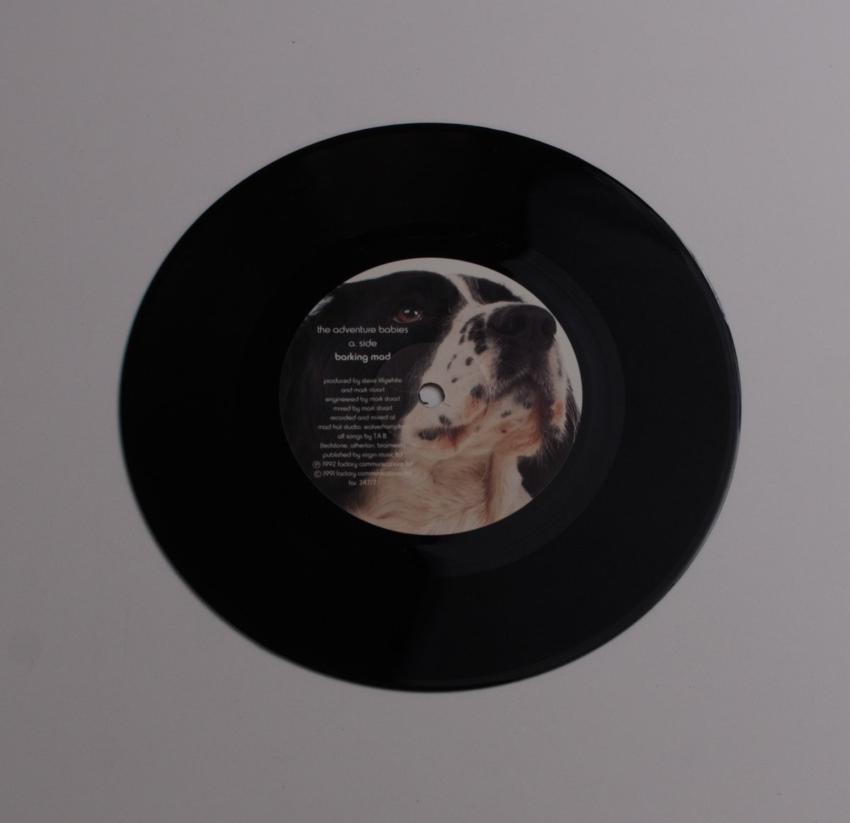 FactoryRecCol's tweet photo. Fac 347 The Adventure Babies – Barking Mad 7" single 1st pressing original issue on factory records 1982  #factoryrecords #fac347 #theadventurebabies #BarkingMad #singleoftheday https://t.co/xrdMvM8lRJ