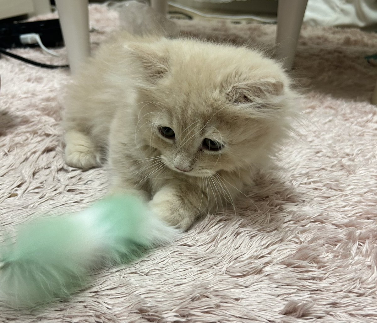 きりん (@kirin_0301_) / Posts / X