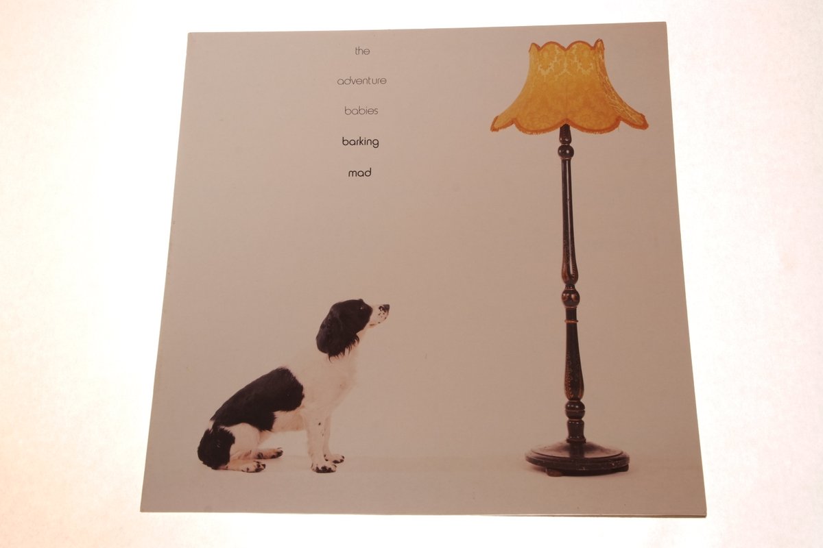 FactoryRecCol's tweet photo. Fac 347 The Adventure Babies – Barking Mad 12" single 1st press vinyl record 1982 #factoryrecords #fac347 #theadventurebabies #BarkingMad https://t.co/nmdlvhbo87
