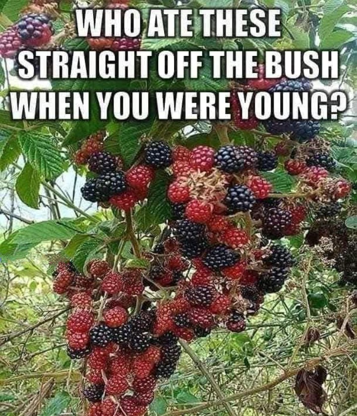 Wat_the_deuce 🍀🇮🇪☘️ 2 tweet media