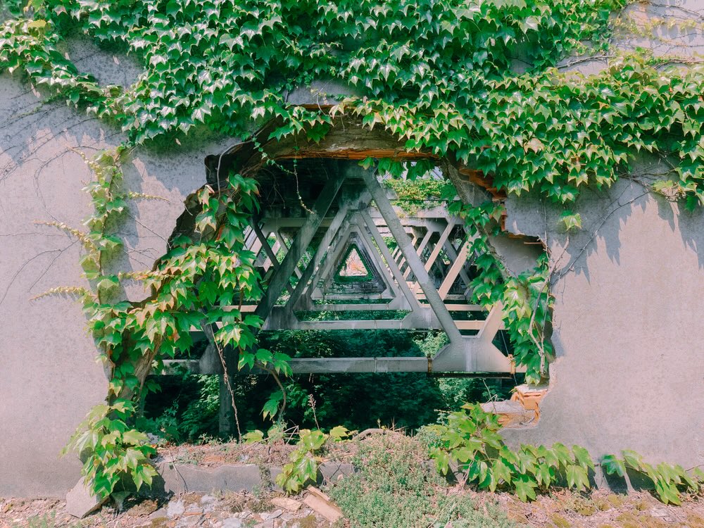 Sam King tweet media