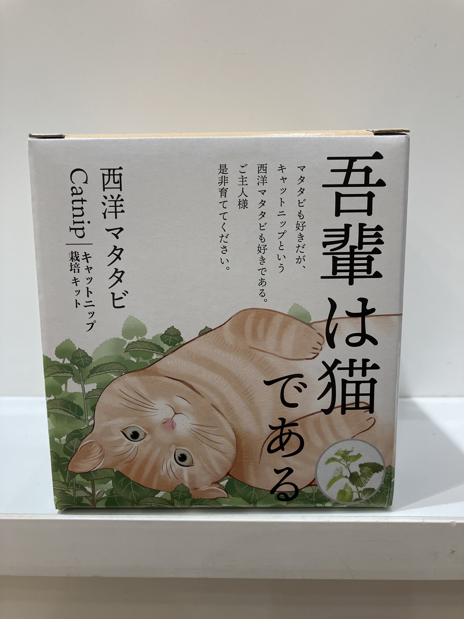 吾輩はパンダである パンダコパンダ』50周年を記念して初のNFTを数量限定で販売
