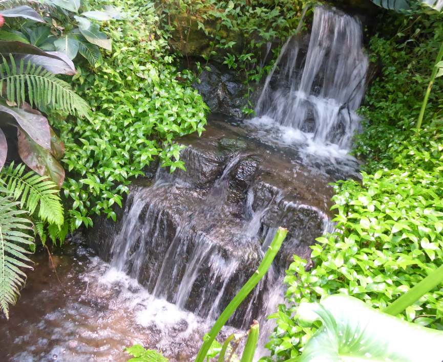 Madani Schools Federation - Communication Faculty tweet media