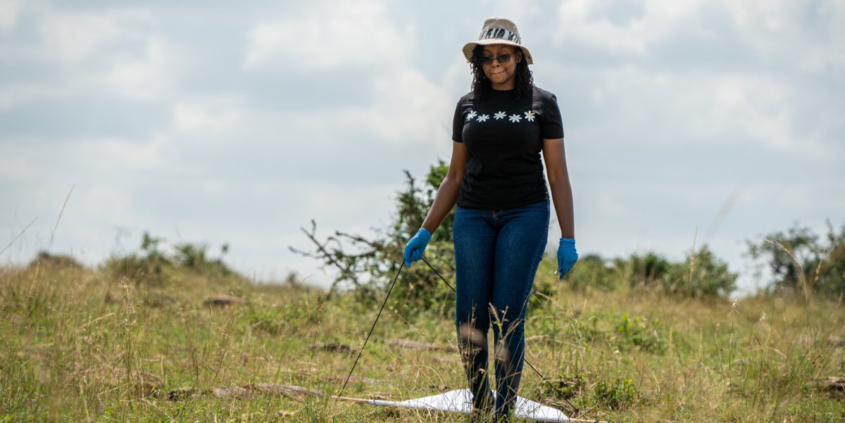 Mpala Research Centre / @mpalarc.bsky.social tweet media