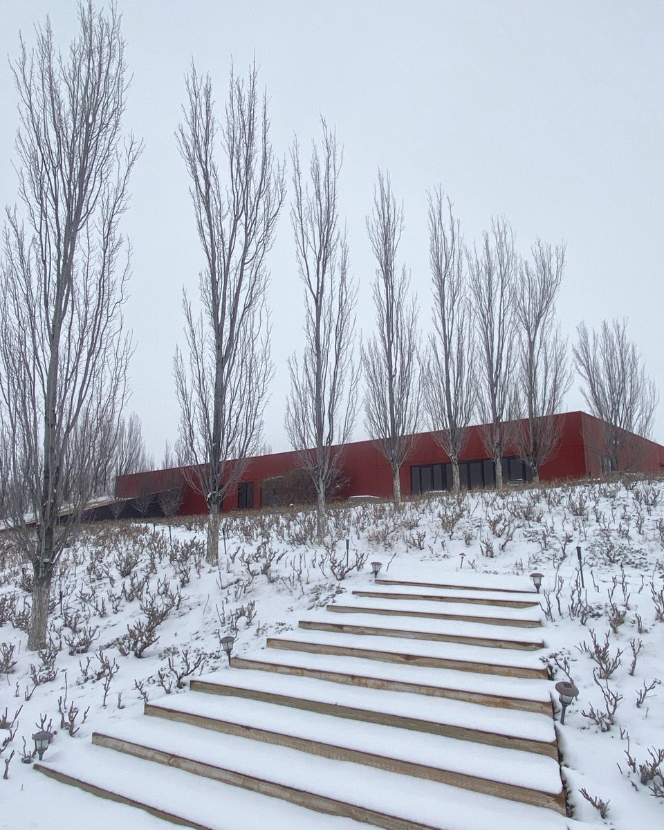 LongShadowsVintners tweet media