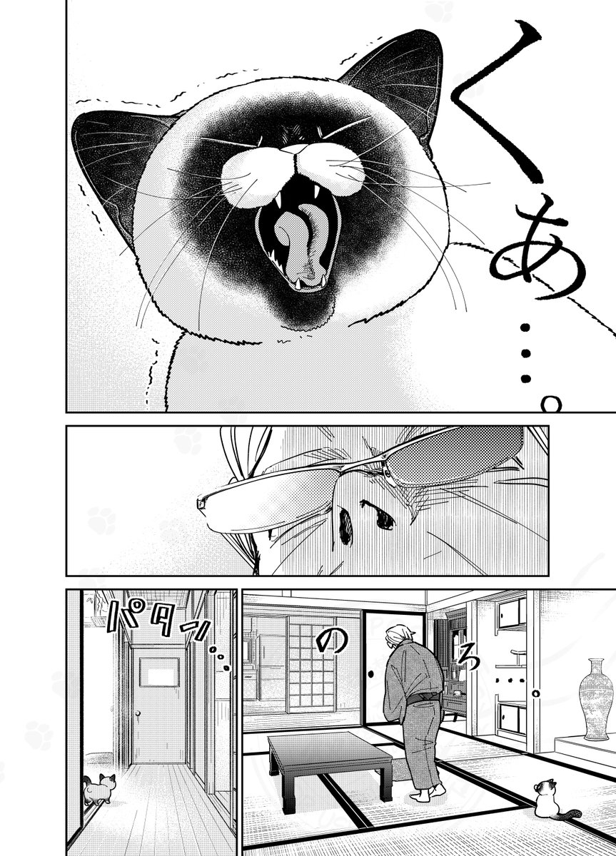(2/3) 