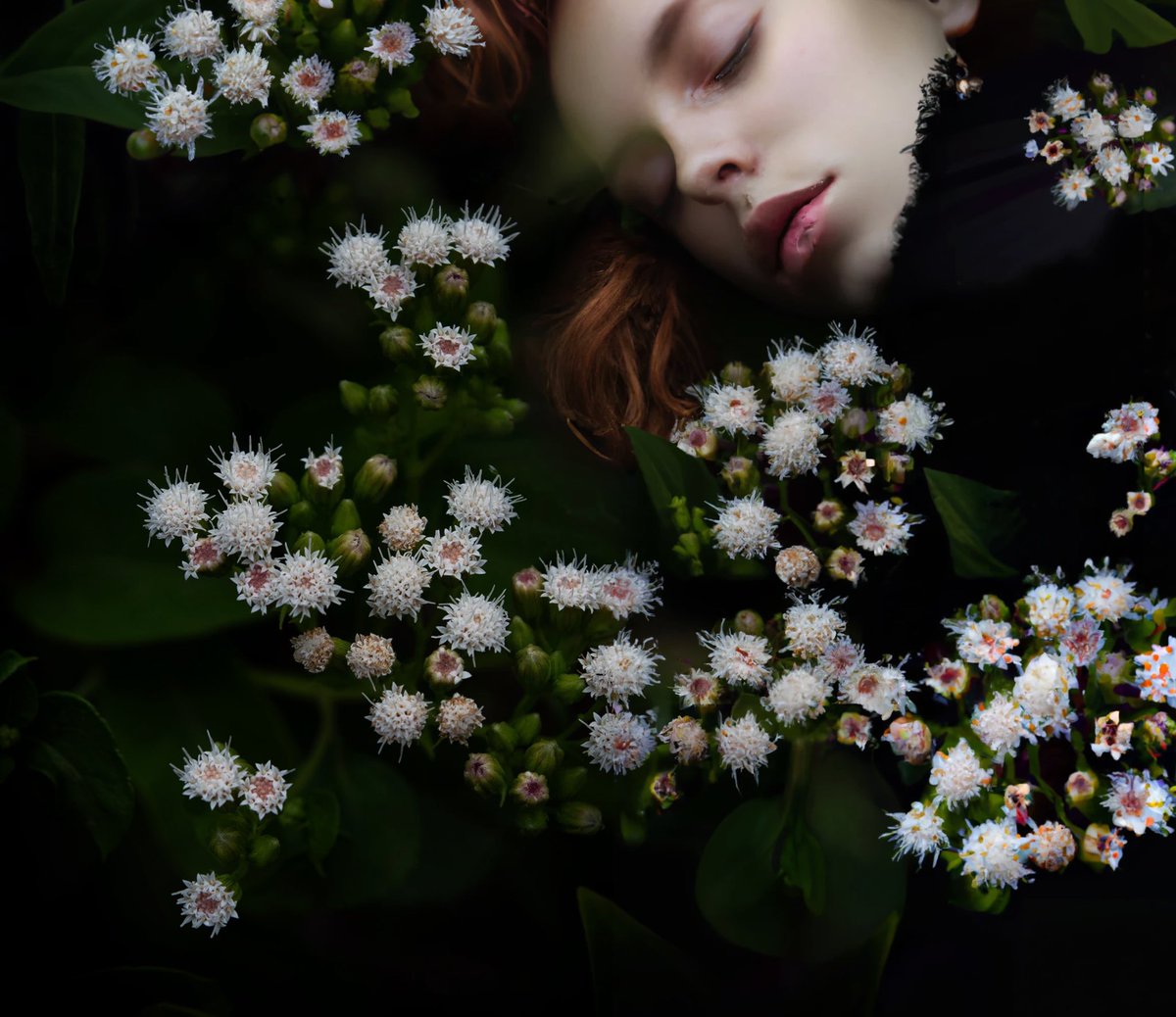 Luci Obregon tweet media