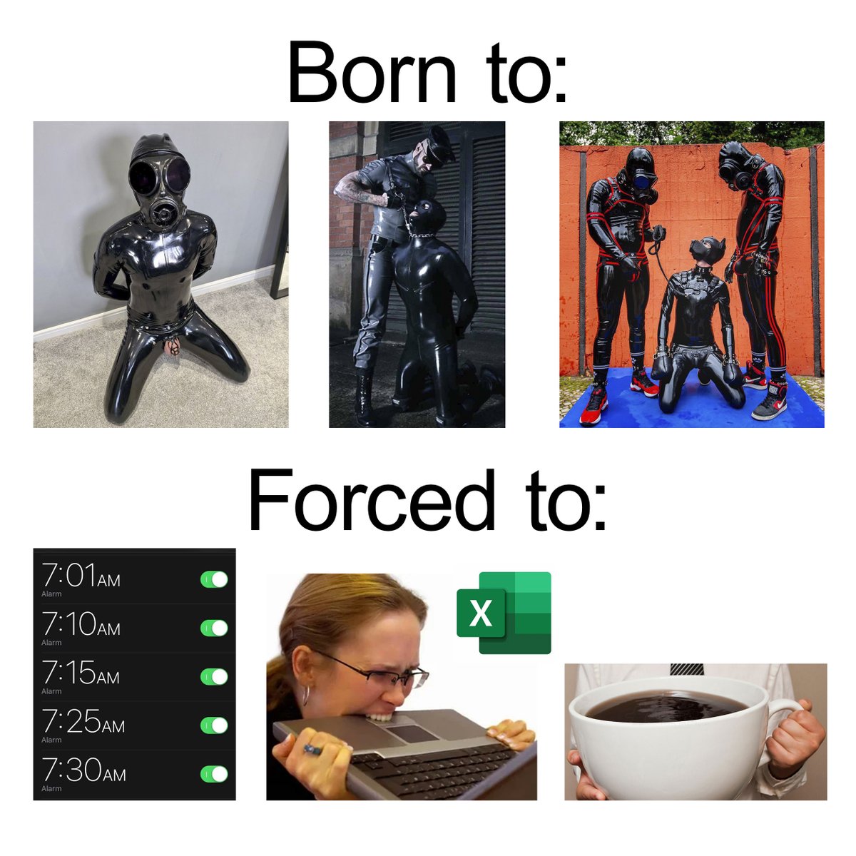 puppy gimp (4K) tweet media