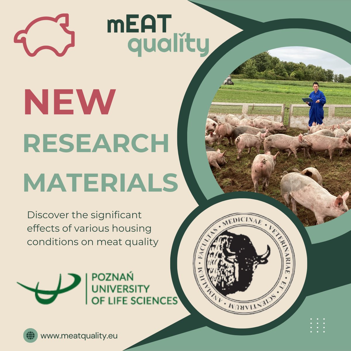 New Studies Alert! 
Check out our latest research from Poland: 
🔍Pen Size &amp; Pulawska Pork Quality. 
🏠Housing Conditions &amp; Meat Quality. meatquality.eu/pl/publikacja-…
English abstracts available.  
<a href="/WUR/">Wageningen U&R</a> @up_poznan <a href="/crpasocial/">CRPA</a> <a href="/AarhusUni_int/">Aarhus University</a> <a href="/Ecovalia/">Ecovalia</a> <a href="/EU_H2020/">Horizon 2020</a> <a href="/VeterinariaUCO/">Facultad de Veterinaria UCO</a>