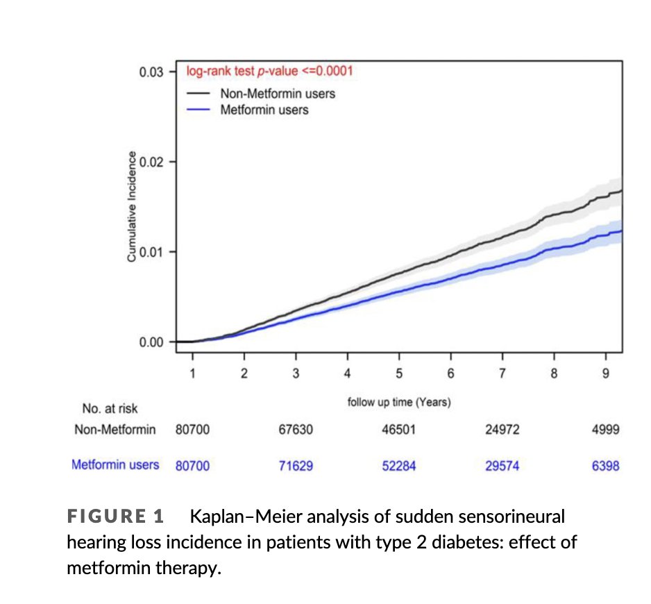 Now data on metformin benefits and hearing loss!

Metformin use is associated with a dose-dependent reduction in hearing loss risk and lower mortality in people with T2 diabetes!

Metformin keep giving!

dom-pubs.onlinelibrary.wiley.com/doi/full/10.11…